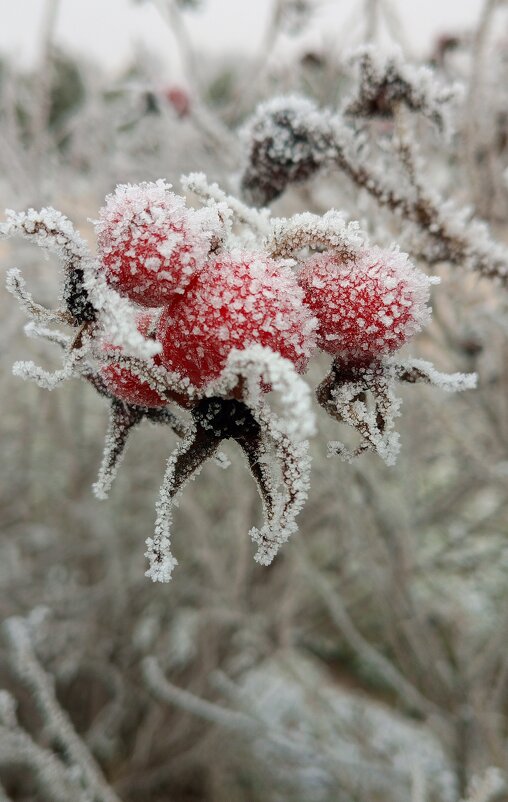 - - Юлия Петлякова