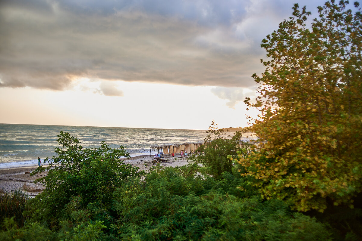 Абхазия Новый Афон - Александр Леонов