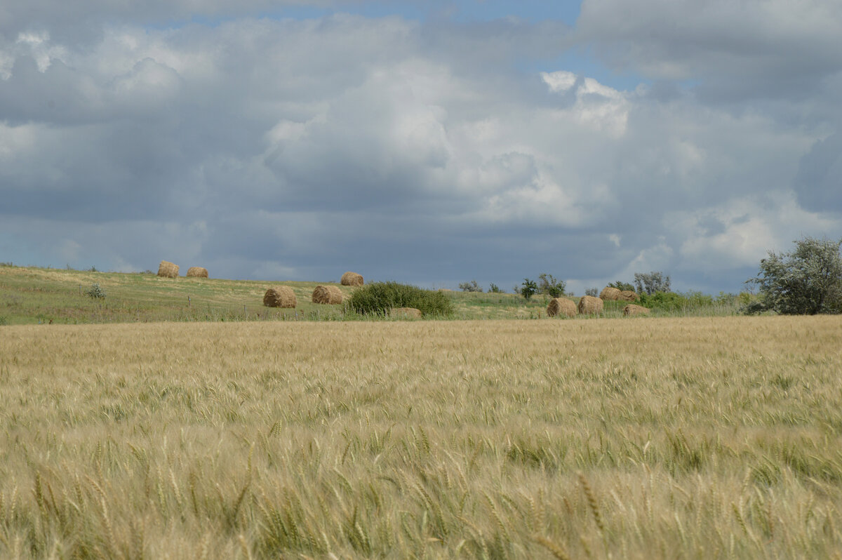 Перед грозой... - Надежда Куркина 