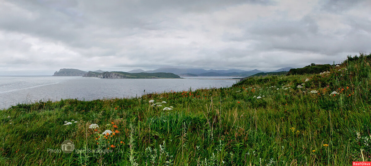 Берег Японского моря - Игорь Сарапулов Берег Японского моря - Игорь Сарапулов