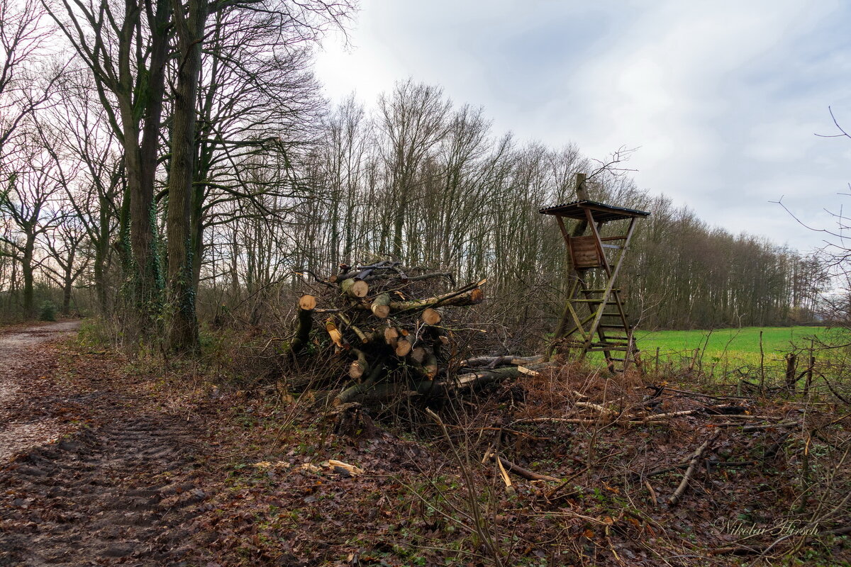 Скрадок... - Николай Гирш Скрадок... - Николай Гирш