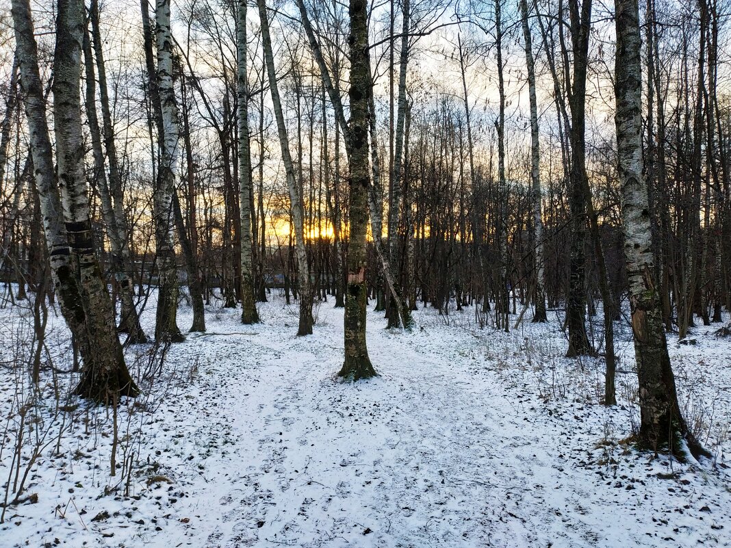 Декабрь, который уже можно признать за зиму - Андрей Лукьянов Декабрь, который уже можно признать за зиму - Андрей Лукьянов