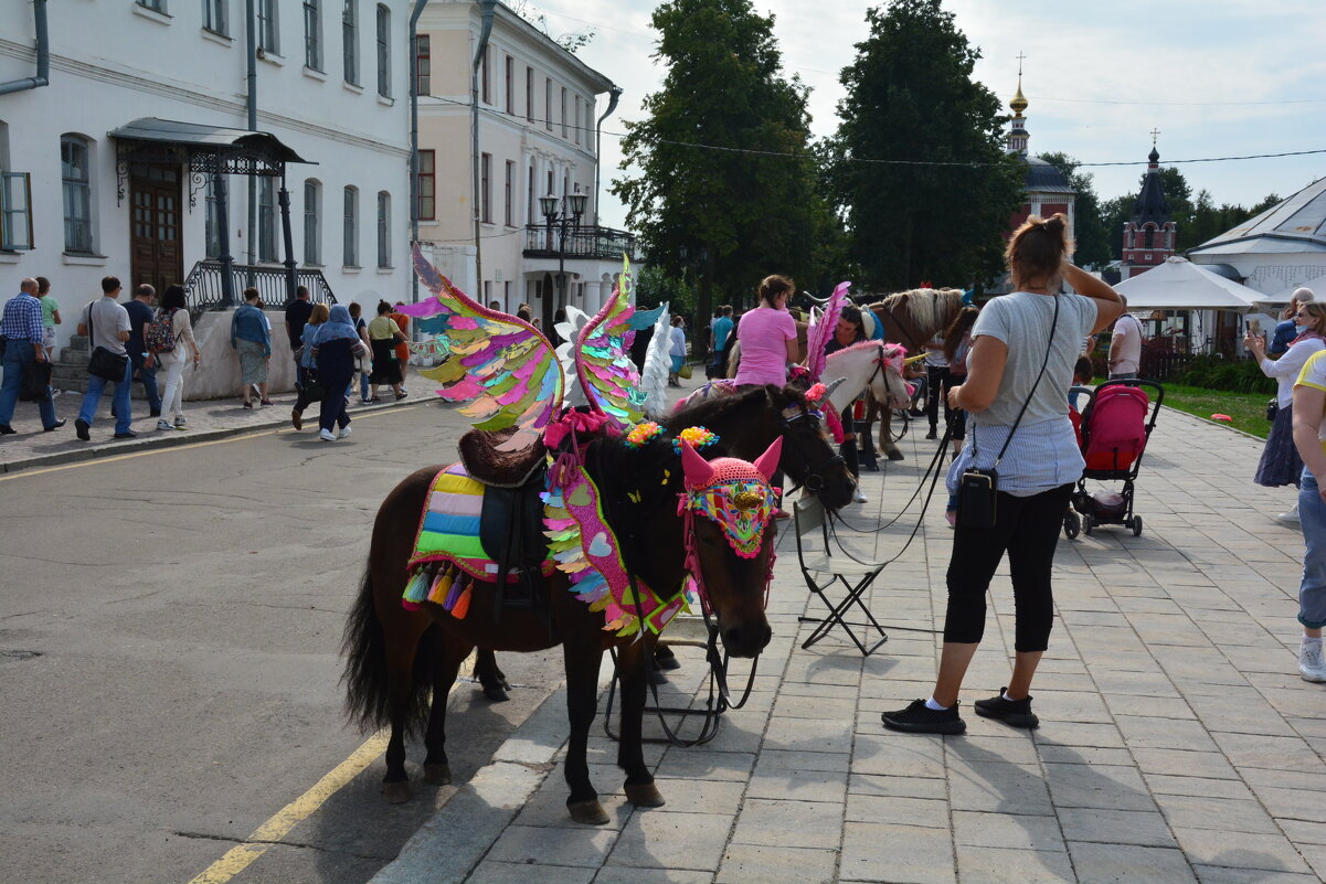 в ожидании седоков - Галина R...