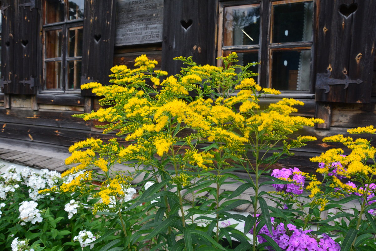 Суздаль - Галина R...