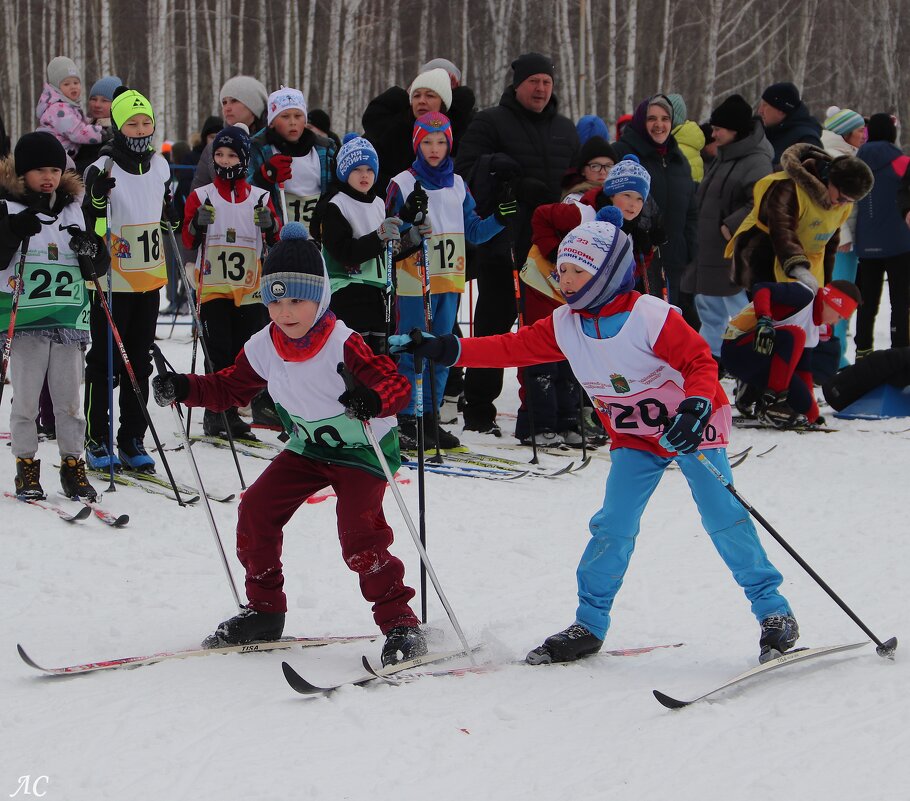 *** - Любовь Сахарова