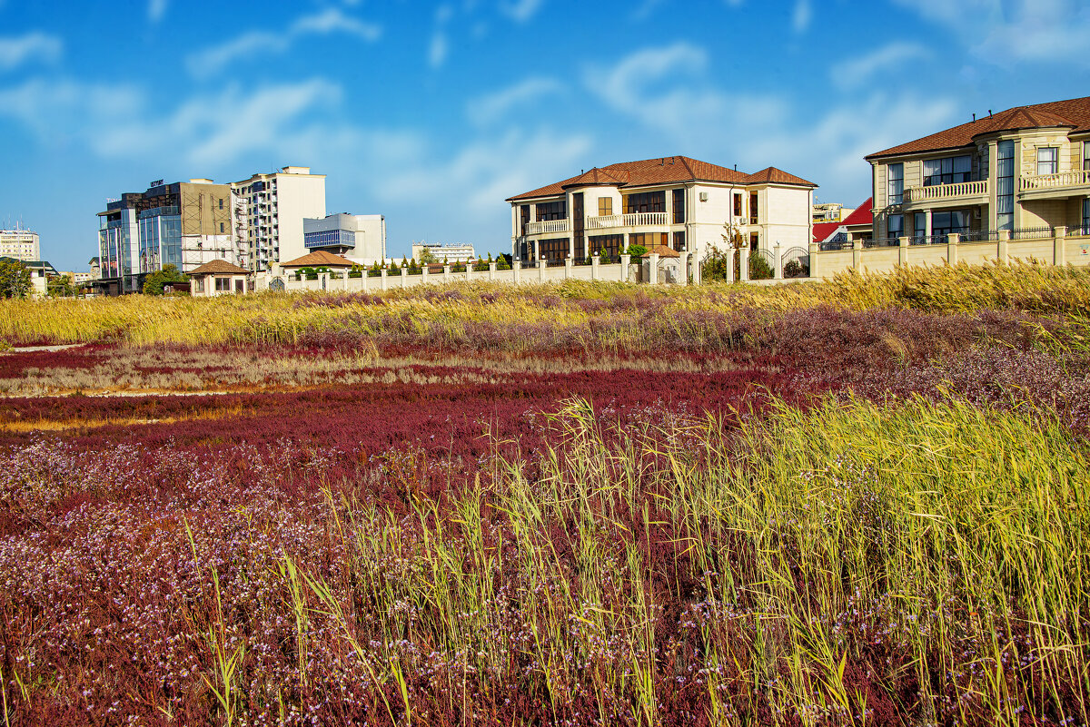 Берег - Анатолий Чикчирный