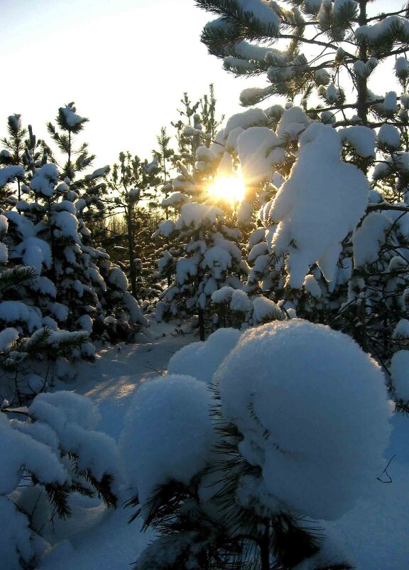 Декабрь...Берендеево царство! - Владимир 