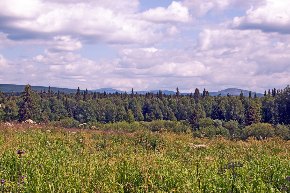 Вдали хребет. - ВикТор Быстров Вдали хребет. - ВикТор Быстров