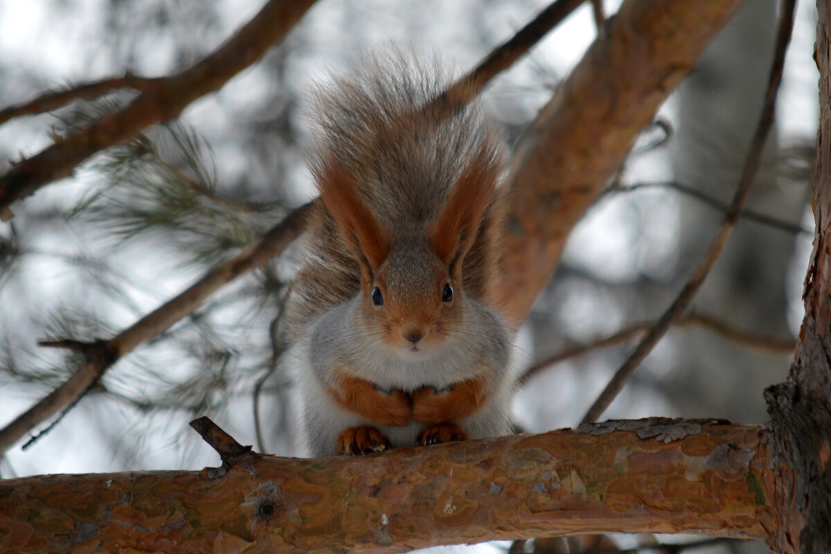 Найди меня! - Татьяна Лютаева