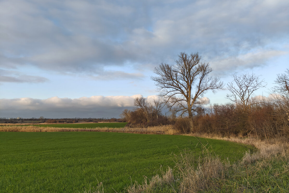 Тополь - Валерий Ткаченко Тополь - Валерий Ткаченко