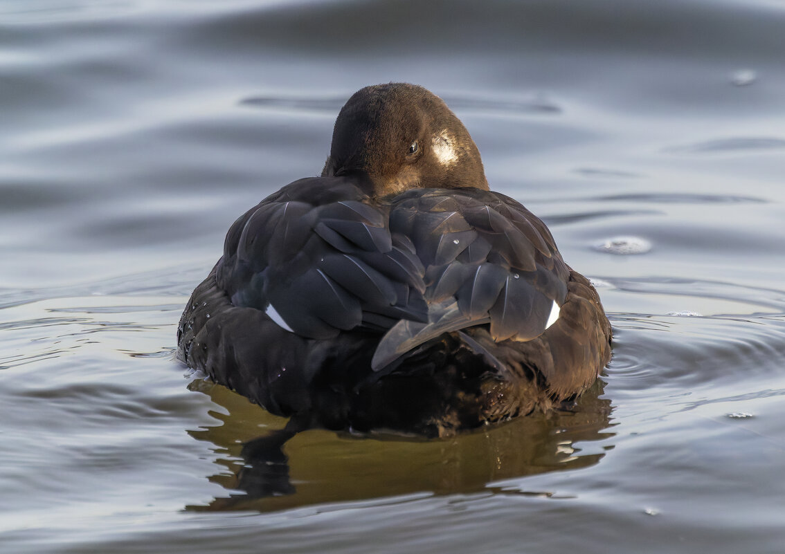 турпан. - юрий макаров