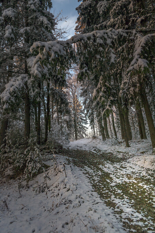 Зимняя дорожка - Сергей Цветков