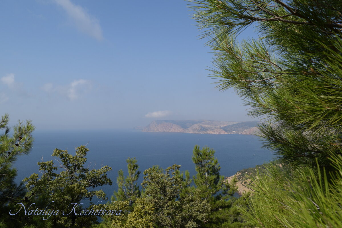 Природа Крыма - Amazing Cosmea Природа Крыма - Amazing Cosmea