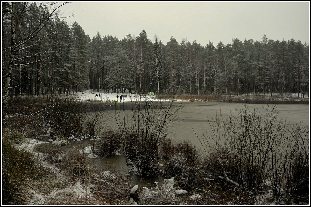 **** - Aleksandr Gal **** - Aleksandr Gal