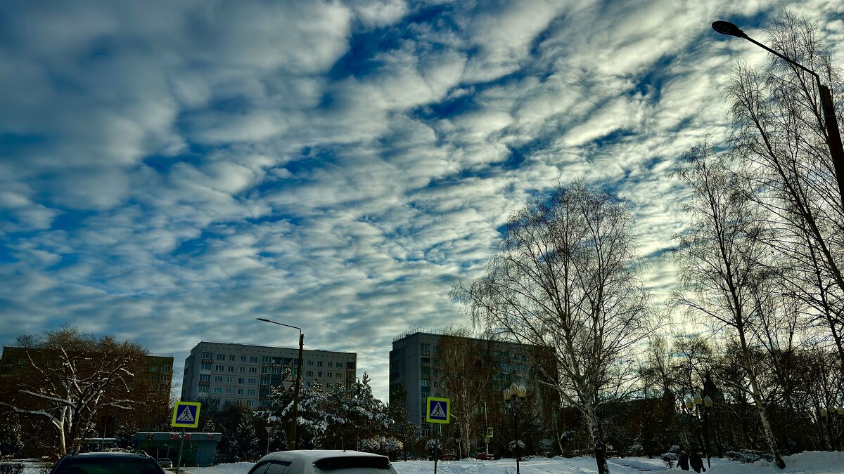 . - Иннокентий Авдонин