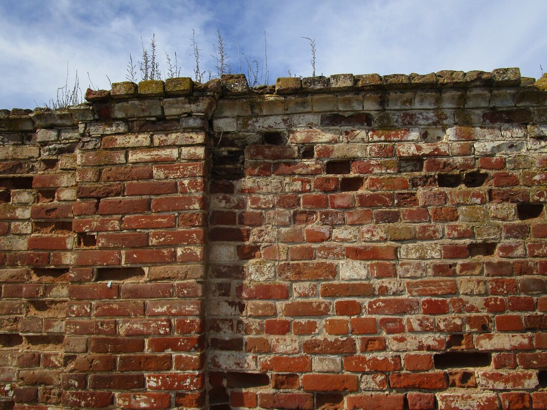 старая стена - Елена Шаламова