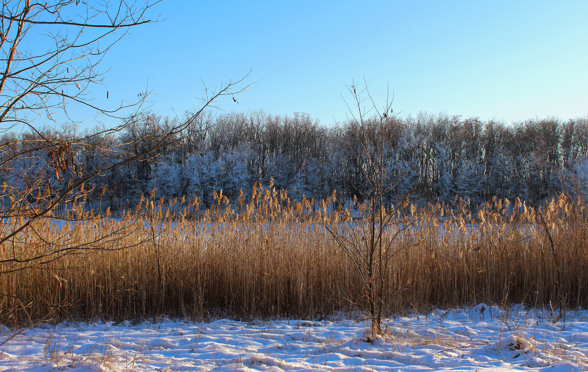 Зима. - Александр. AVG100 ---