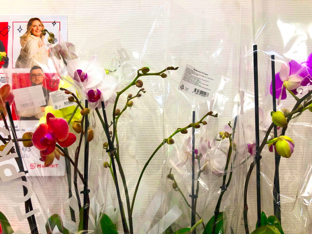 Фотография - Денис Безногов