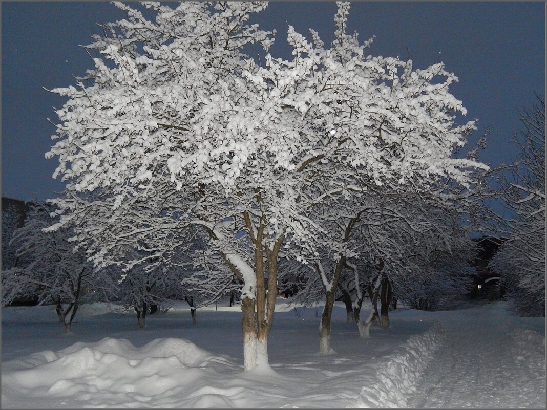 Снежный иней ... - Валентина Надсон