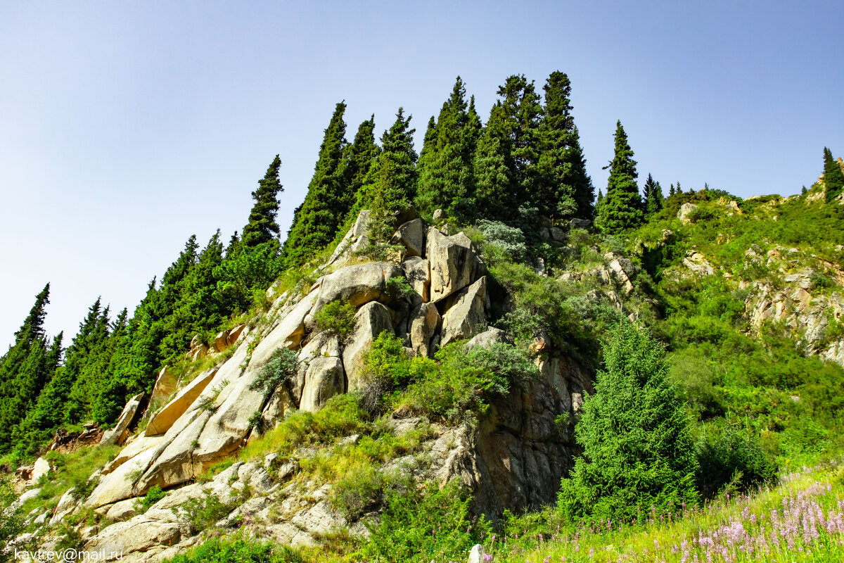 СНОВА БАК - HART BAD