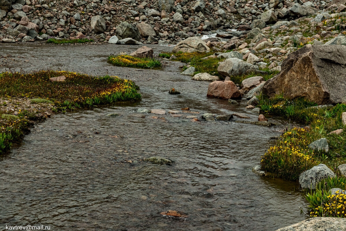 СНОВА БАК - HART BAD СНОВА БАК - HART BAD