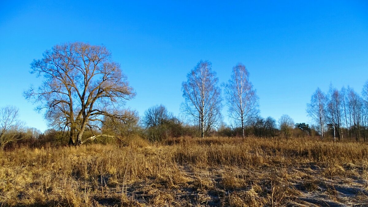 Зима, похожая на осень. - Милешкин Владимир Алексеевич Зима, похожая на осень. - Милешкин Владимир Алексеевич