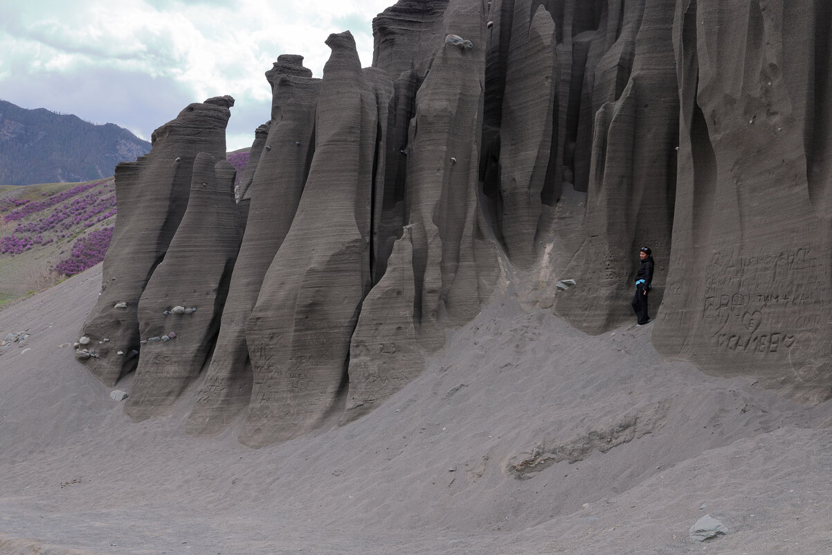 *** - владимир 