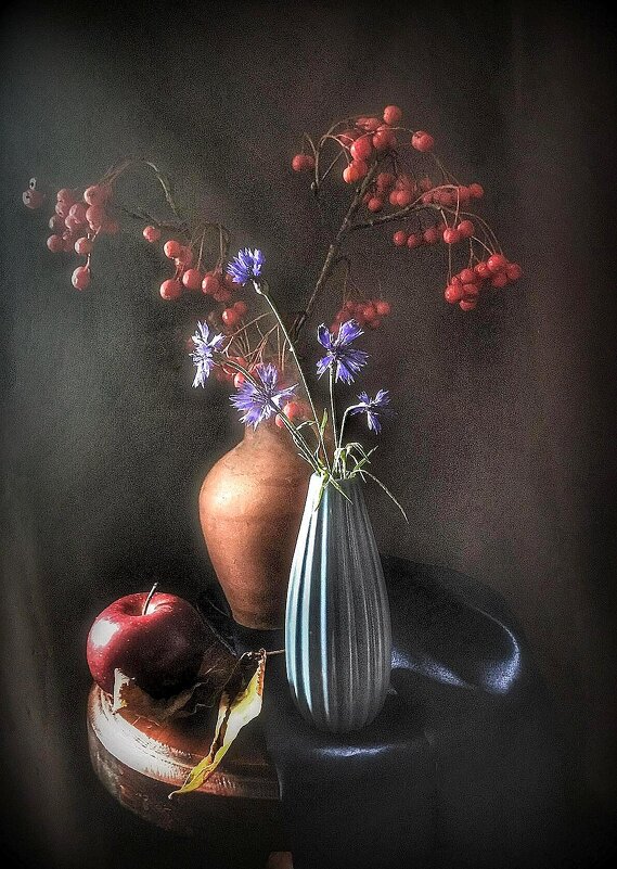 Природы подарок....Декабрь....Васильки. - TAMARA КАДАНОВА Природы подарок....Декабрь....Васильки. - TAMARA КАДАНОВА