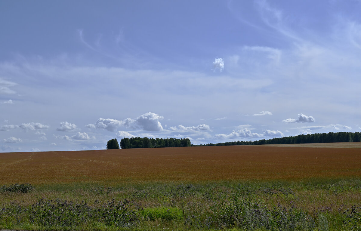 ... - Сергей Яковлев