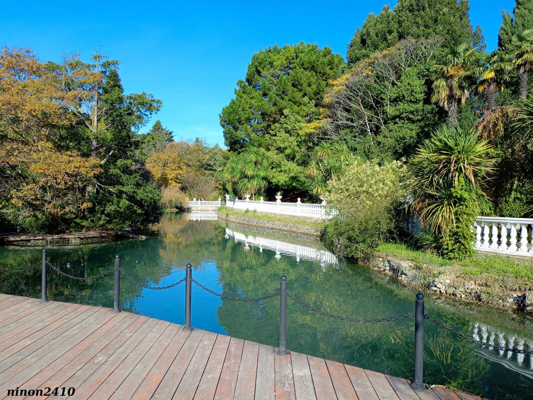 Адлер. Дендропарк "Южные культуры" - Нина Бутко Адлер. Дендропарк "Южные культуры" - Нина Бутко