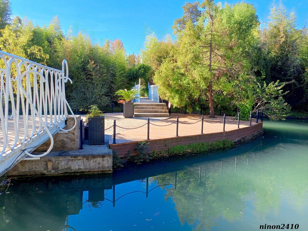 Адлер. Дендропарк "Южные культуры" - Нина Бутко Адлер. Дендропарк "Южные культуры" - Нина Бутко