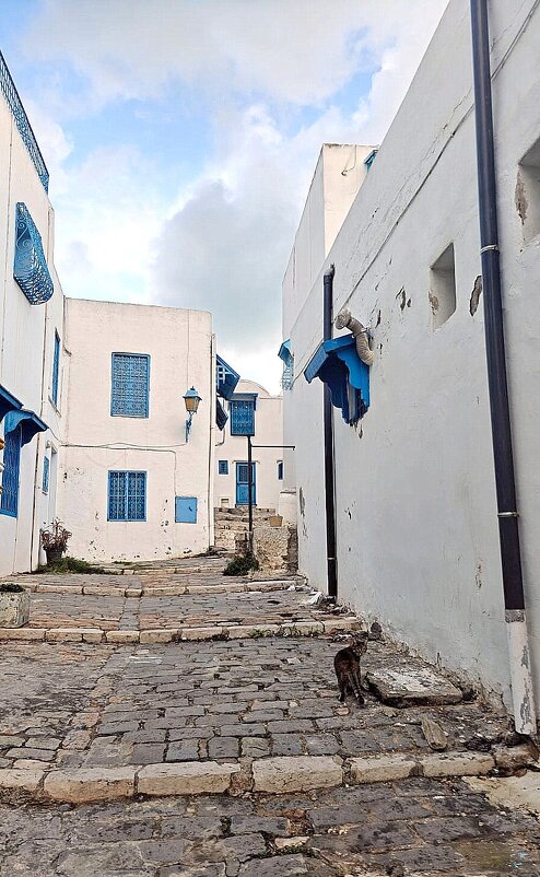 Зажиточная деревня Сиди-Бу-Саид, Тунис - Елена 