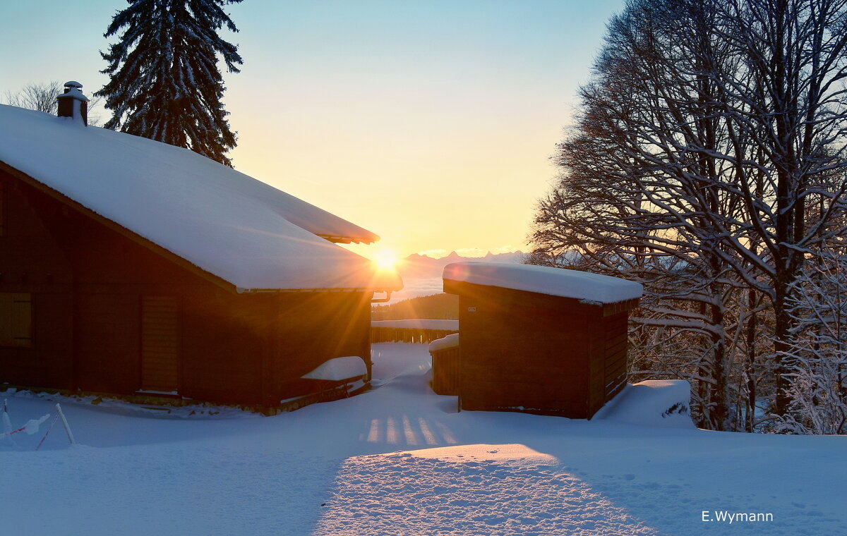 sunrise - Elena Wymann