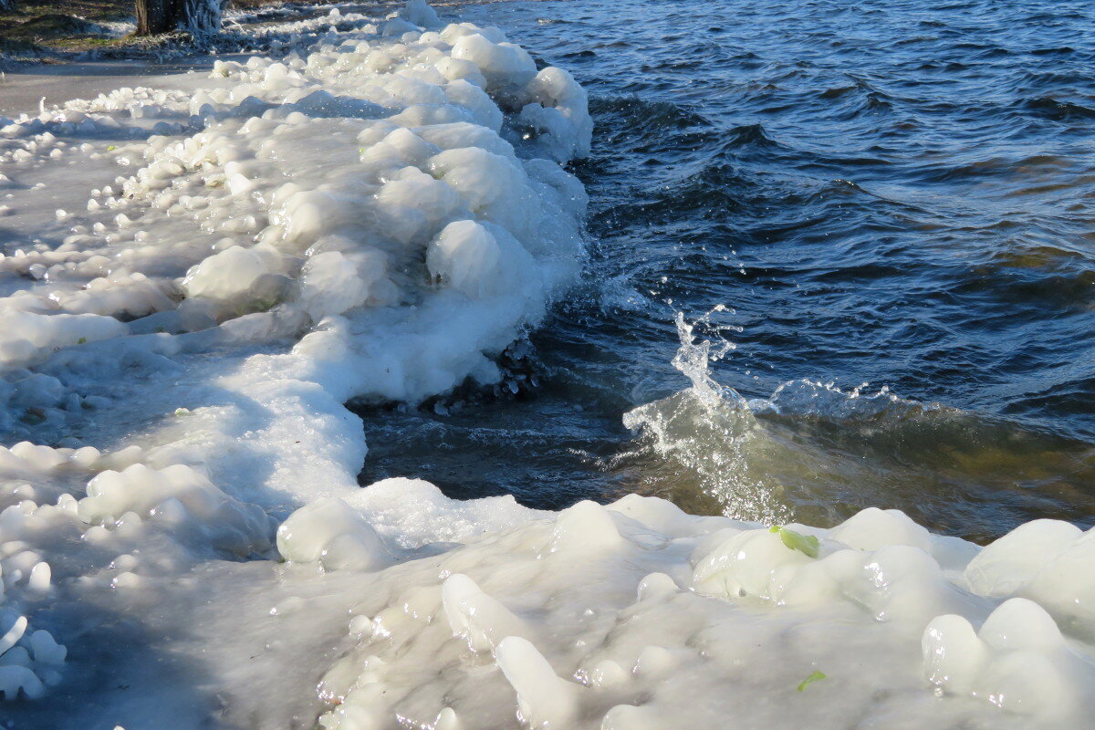 На берегу Ледовитого океана. - Егор Бабанов На берегу Ледовитого океана. - Егор Бабанов