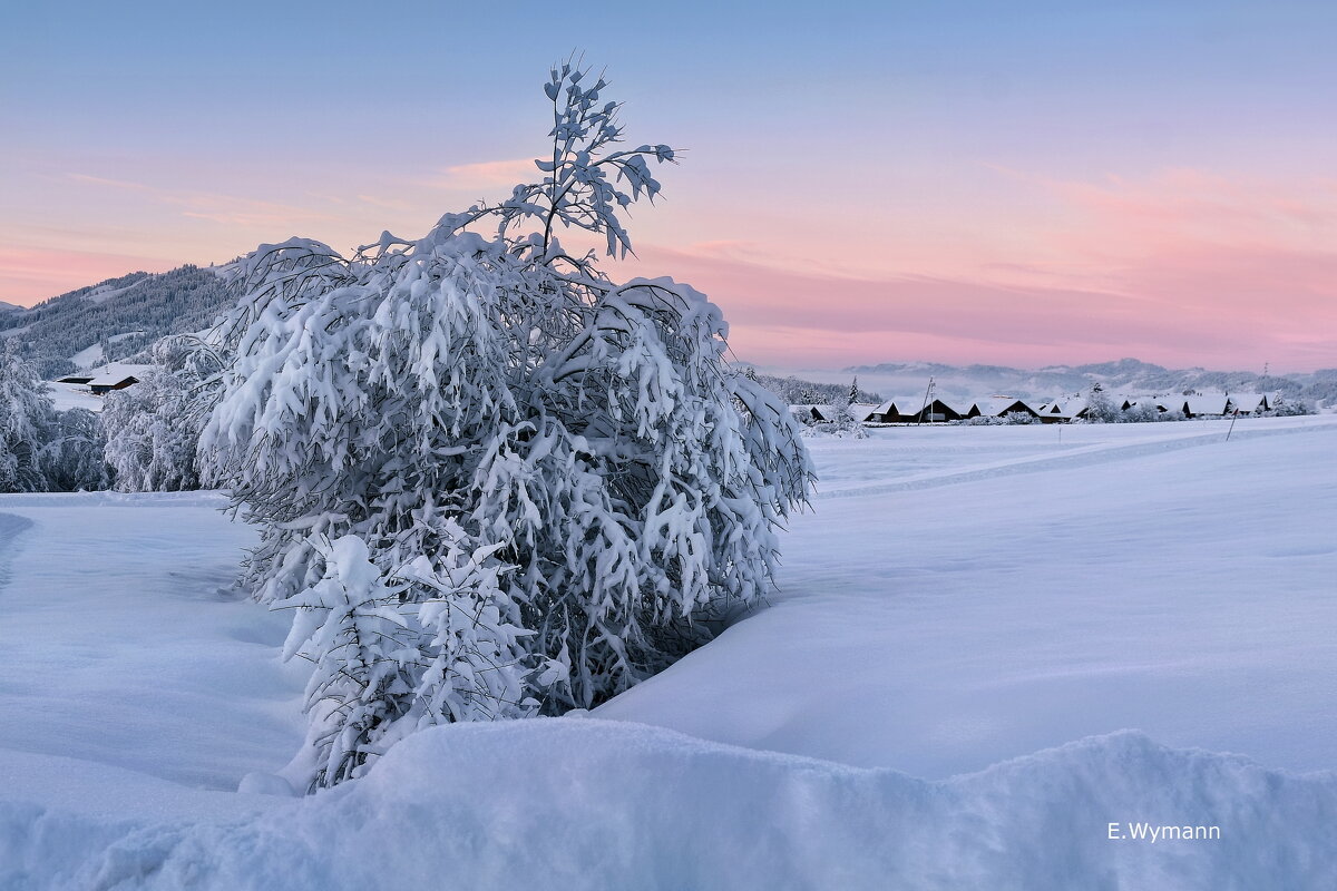 winter view - Elena Wymann winter view - Elena Wymann
