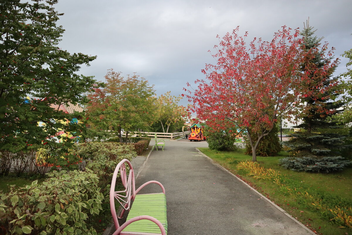 Осенью - Дмитрий П Осенью - Дмитрий П