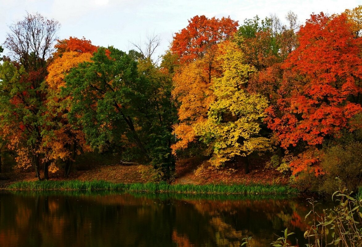 октябрьские краски... - Александр Герасенков октябрьские краски... - Александр Герасенков