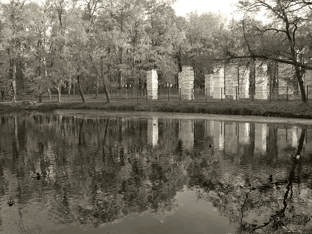 В парке - Наталья 
