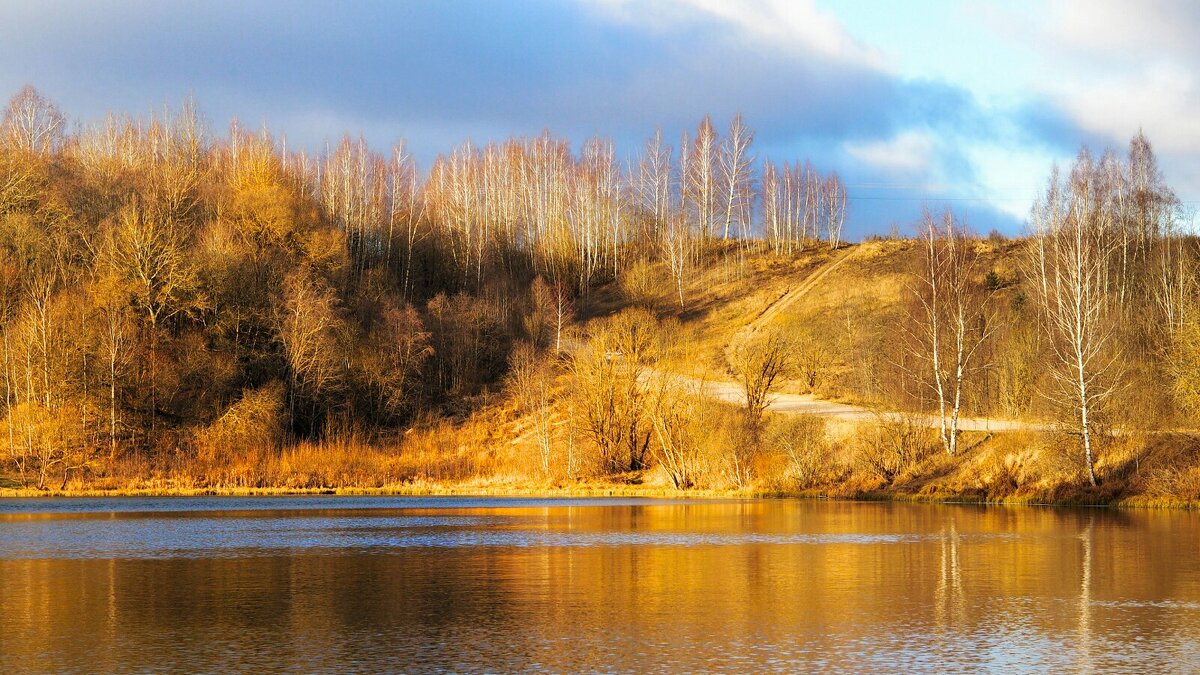 Зима, похожая на осень. - Милешкин Владимир Алексеевич 