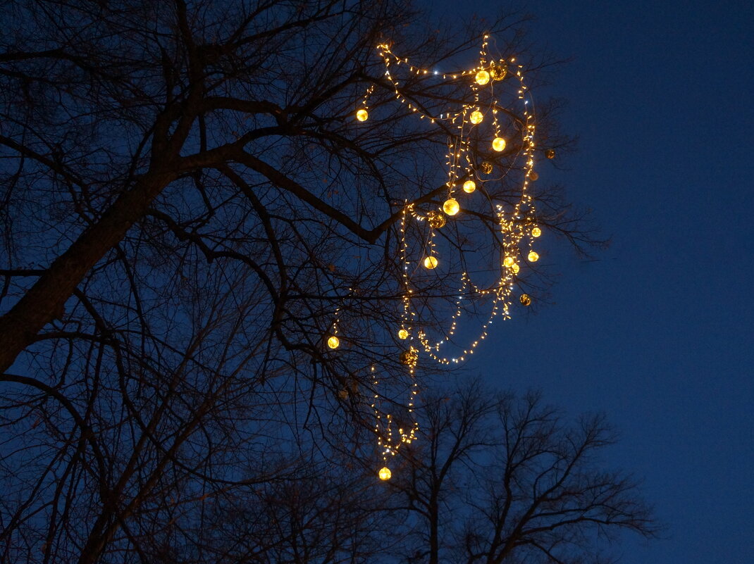 предновогоднее - zavitok *