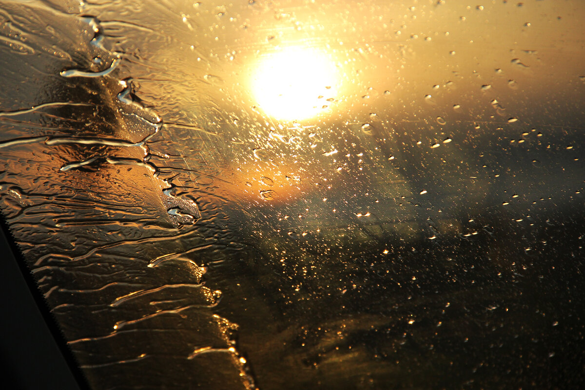 Слепой дождь на закате - СЮ 