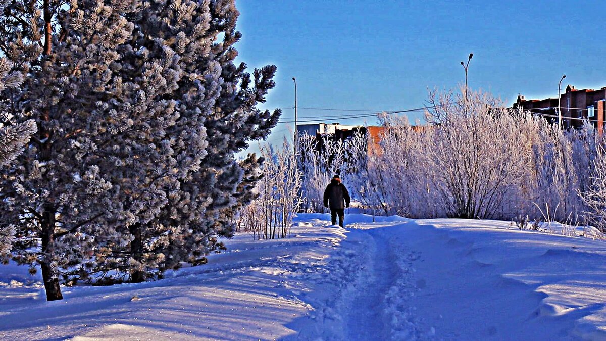 Зима в прибрежном парке! - Владимир 