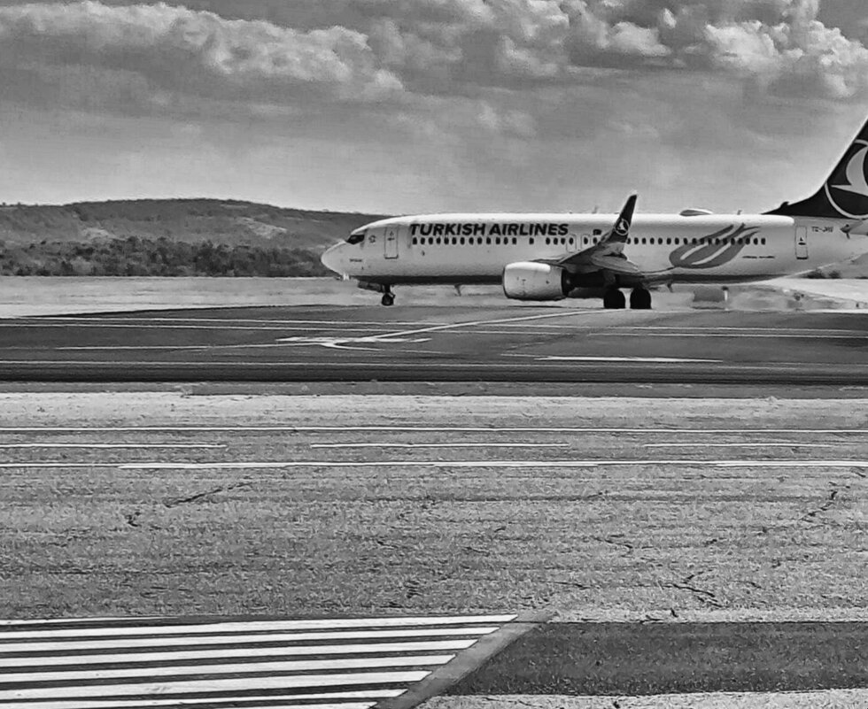 Транспорт - Роман Савоцкий