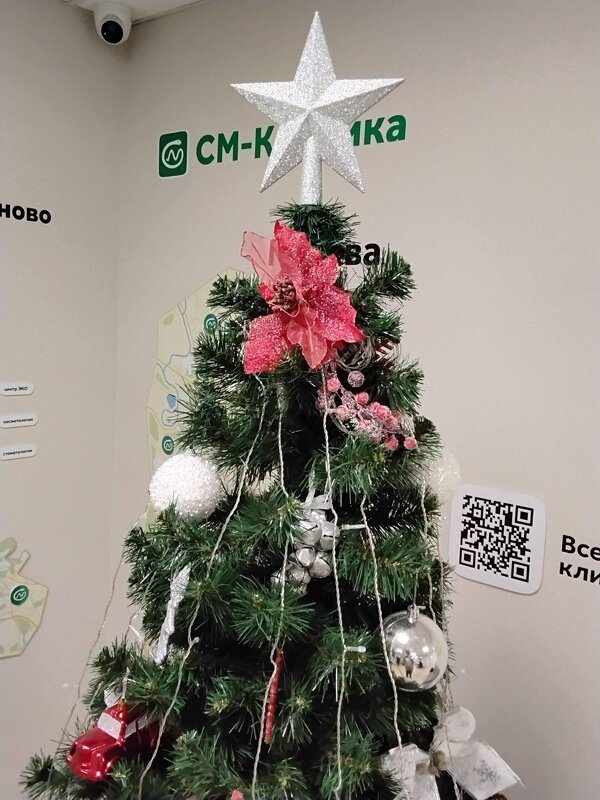 Звезда на ёлке - Дмитрий Никитин