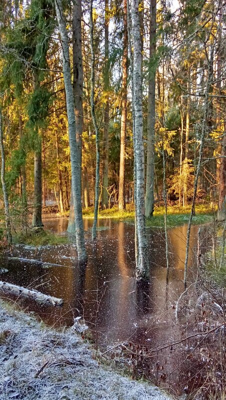 Декабрь - Ольга Попова (popova/j2011) Декабрь - Ольга Попова (popova/j2011)