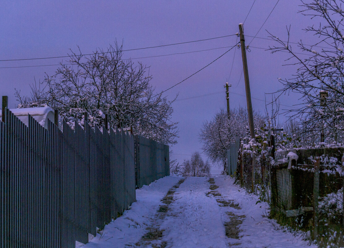 Меж дачных участков. Утро. - Сергей Цветков