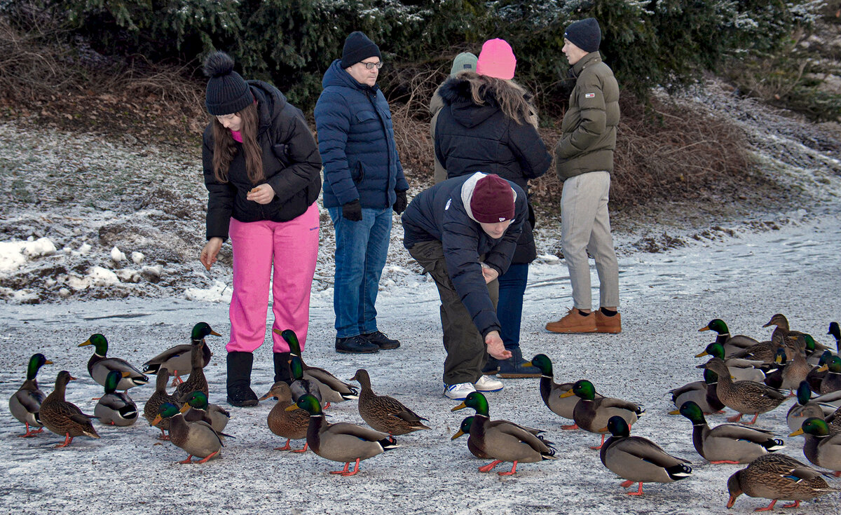 А ружья остались у дикарей - Alexandеr P А ружья остались у дикарей - Alexandеr P