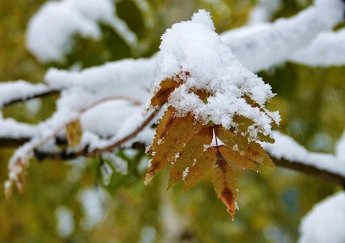 В снежной шапочке - Галина Нестратова