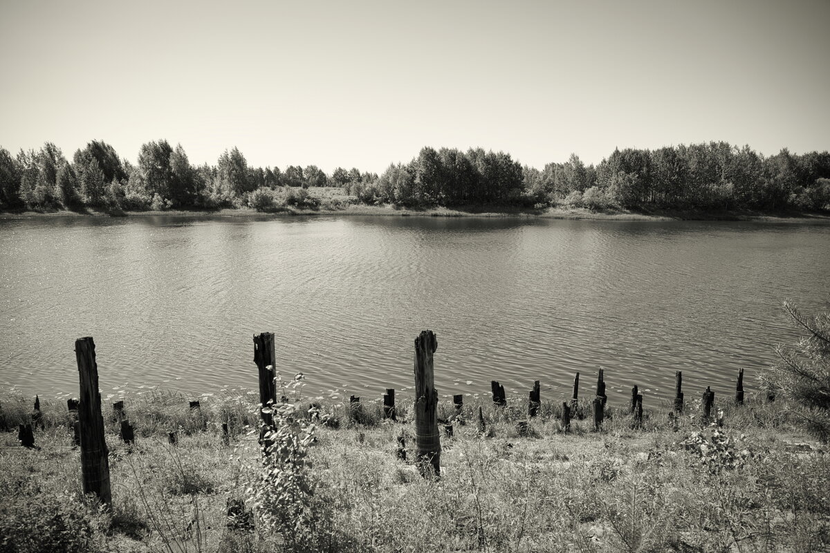 Фотография - Денис Безногов