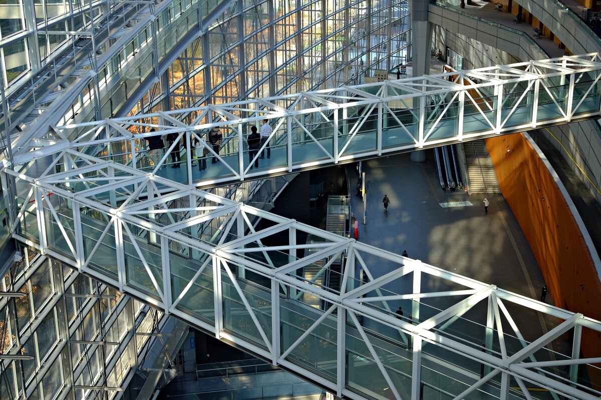 Tokyo Japan - Civetta ***